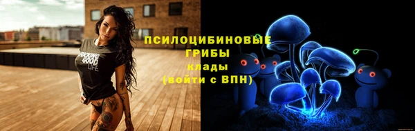 соль курить ск Няндома