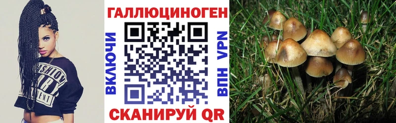 купить   Тавда  мега онион  Галлюциногенные грибы мицелий 