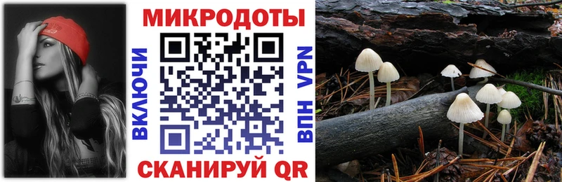 Псилоцибиновые грибы Psilocybine cubensis Тавда