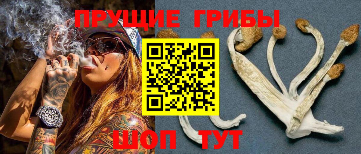 закладки  Вход с VPN  Псилоцибиновые грибы Cubensis  Тавда  Псилоцибиновые грибы прущие грибы 